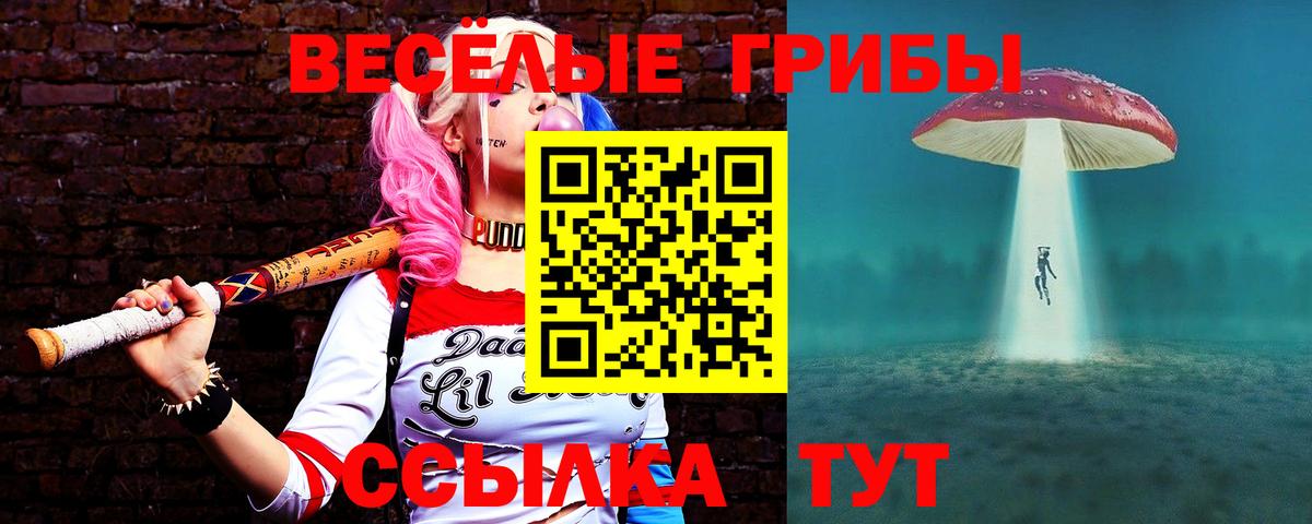 Урус-Мартан  Галлюциногенные грибы Psilocybine cubensis  магазин продажи наркотиков  Вход с VPN 