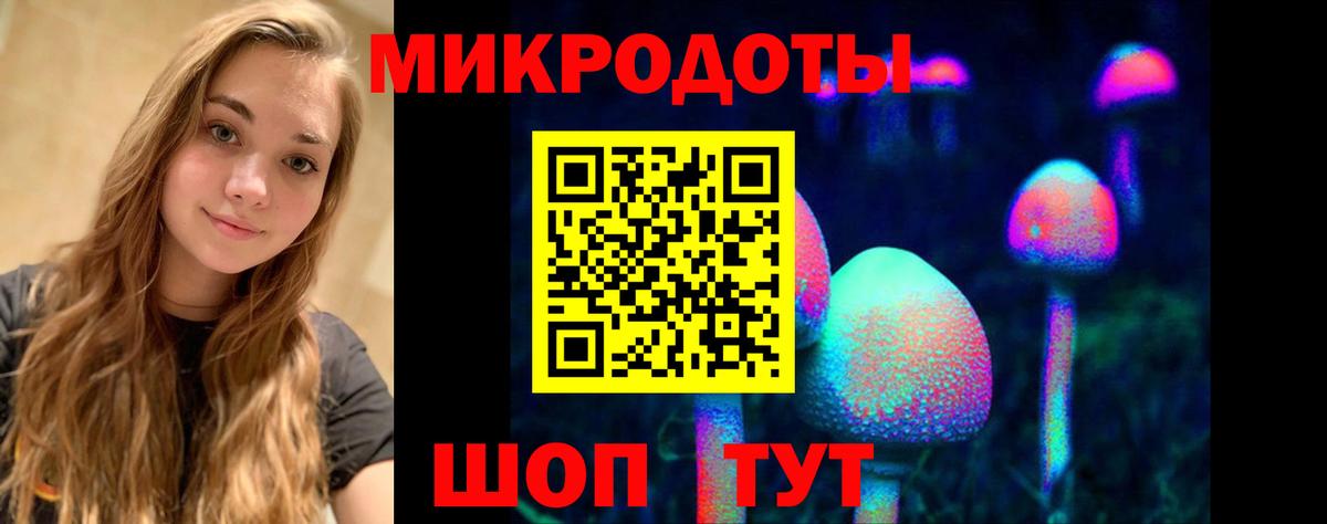 Галлюциногенные грибы Cubensis Урус-Мартан